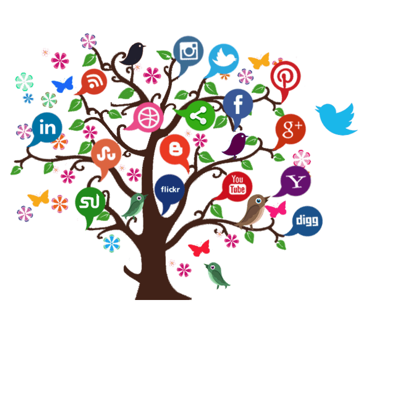 social media marketting in chennai
